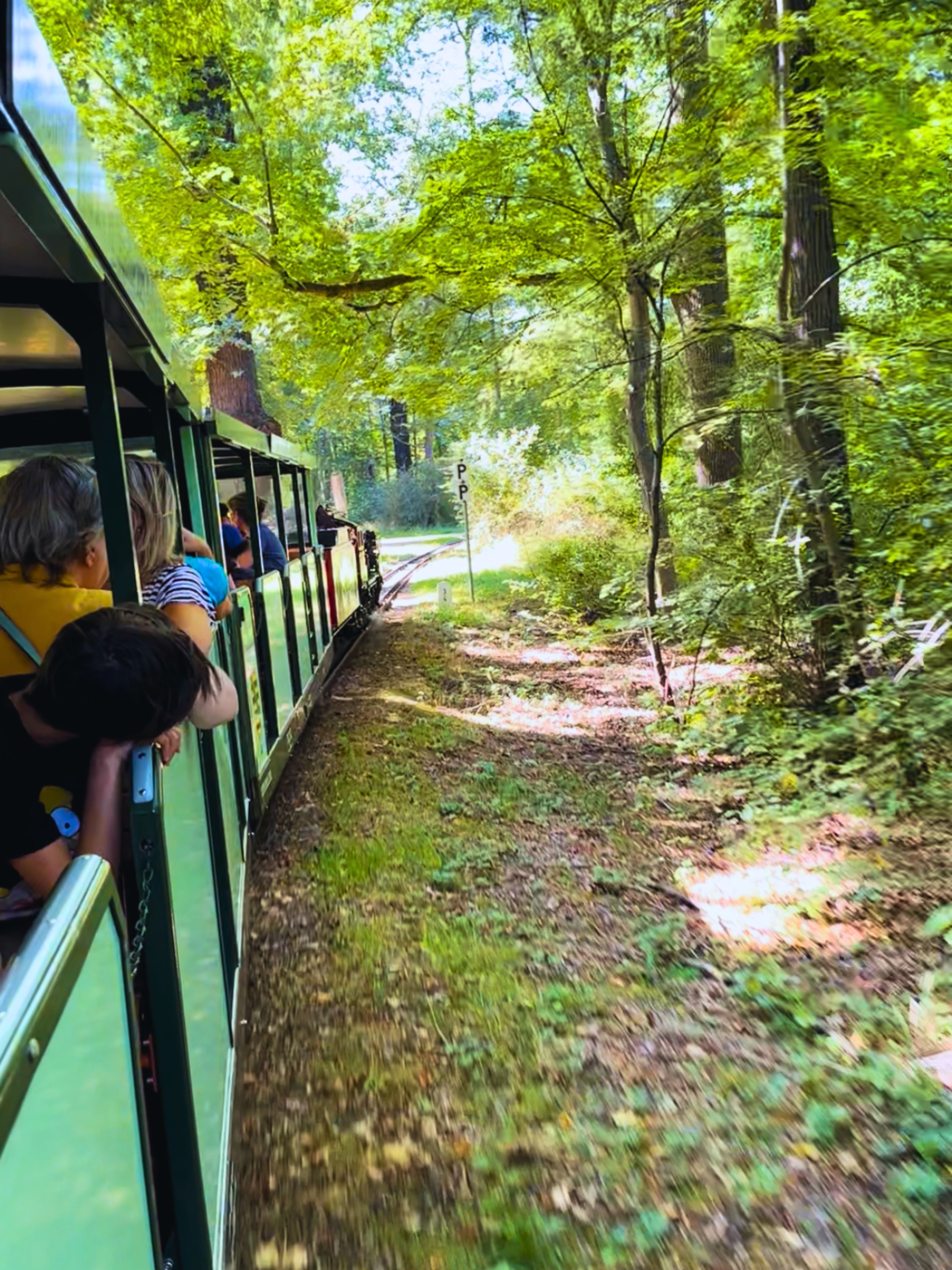 Przejazd Dresdner Parkeisenbahn - Grosser Garten