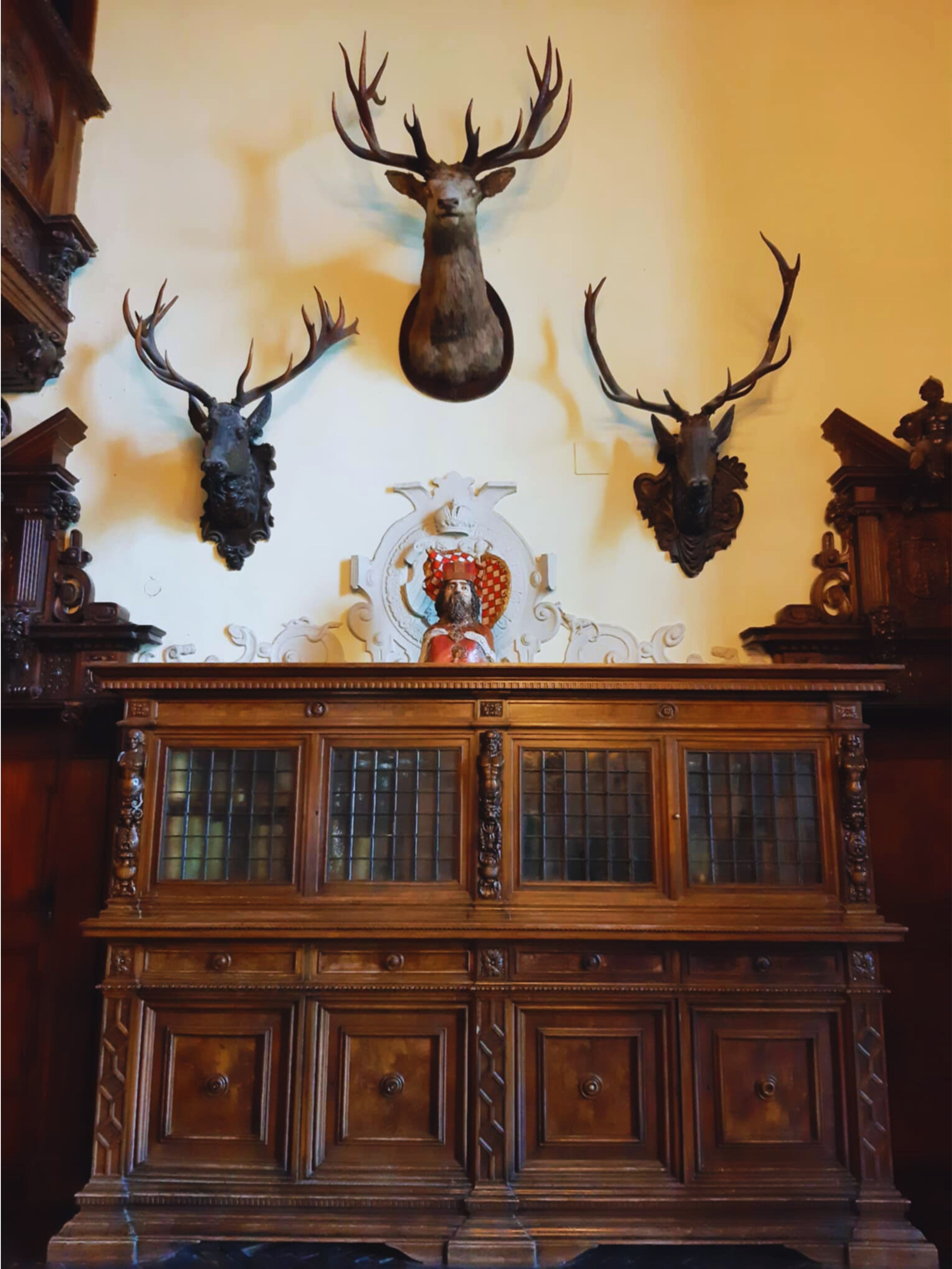 Zwiedzanie Sali Rycerskiej w Zamku Czocha